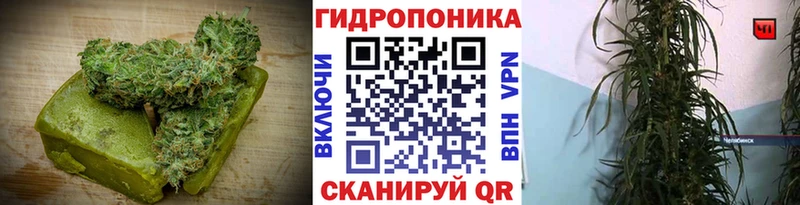 цена   Палласовка  Cannafood марихуана 