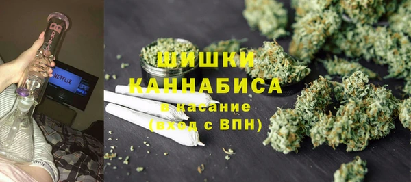 дживик Осташков