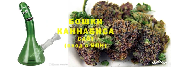 дживик Осташков