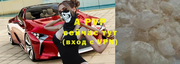 spice Бикин