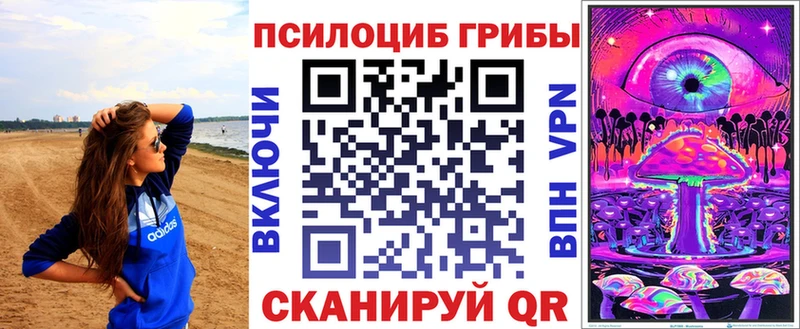 Галлюциногенные грибы Psilocybine cubensis  Палласовка 