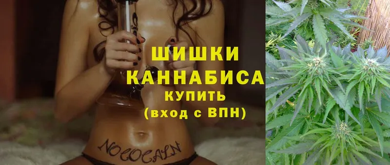 Бошки марихуана SATIVA & INDICA  Палласовка 